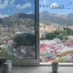 Depto. Temezcuitate Zona Centro Guanajuato